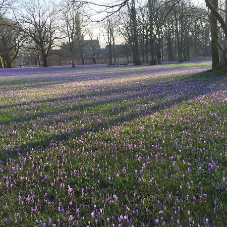 Fischerstuuv Husum  Buitenkant foto