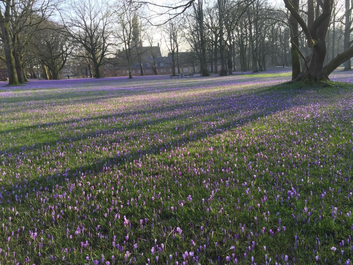 Fischerstuuv Husum  Buitenkant foto